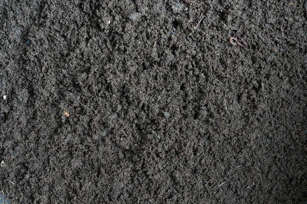 Abono Vermicompost Para Plantar Árboles Mano Del Hombre Está Mostrando —  Fotos de Stock