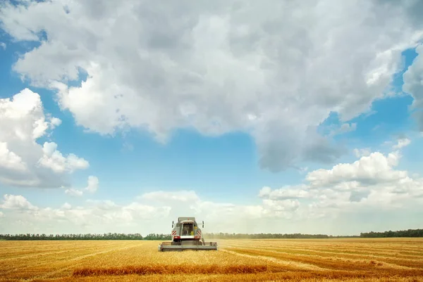 Combineren van harvester onder de blauwe hemel — Stockfoto