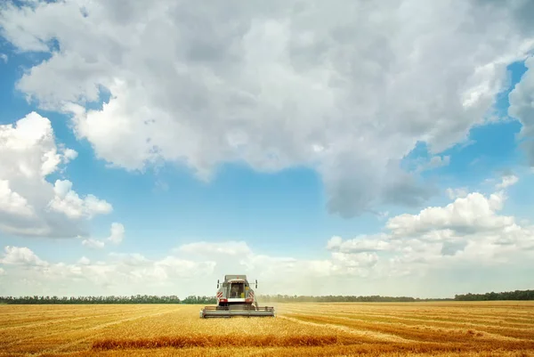 Mähdrescher unter blauem Himmel — Stockfoto