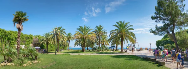 Paesaggio con palme. Pitsunda, Abkhazia — Foto Stock