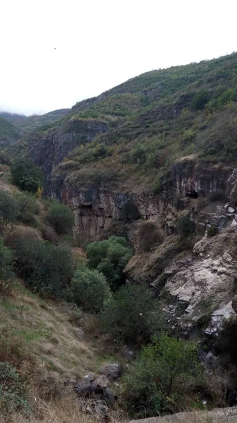 俯瞰高山峡谷中的树木 — 图库照片