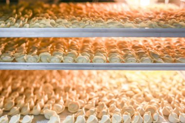 Açık üretim buzdolabında birçok dondurulmuş köfte. Dondurulmuş yarı mamul gıda depolama rafları.