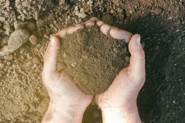 İnsanların elindeki toprağa yakından bir bakış.