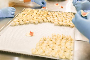 Köfte üretim süreci. Mum kağıdı ile kaplı tepsi üzerinde mavi lastik eldiven ve nemsi işverenlerin elleri.