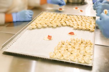 Köfte üretim süreci. Mum kağıdı ile kaplı tepsi üzerinde mavi lastik eldiven ve nemsi işverenlerin elleri.