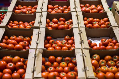 Karton kutularda güzel kırmızı domates, bir pazar rafında satılık