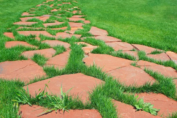 Die Straße Aus Steinen Auf Dem Hintergrund Von Rasengras Grüne — Stockfoto