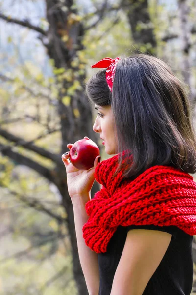 Ein Großer Reifer Apfel Der Hand Einer Frau Auf Rotem — Stockfoto