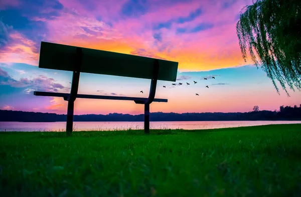 Summer Park Outdoor Grass Bench Lake Sunset — Stock Photo, Image