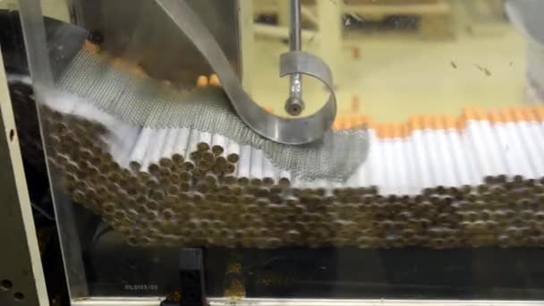 Fábrica de producción de cigarrillos — Vídeo de stock