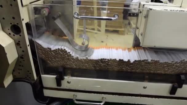 Fábrica de producción de cigarrillos — Vídeo de stock
