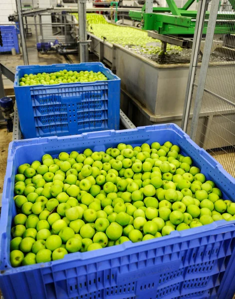 Food processing industry — Stock Photo, Image