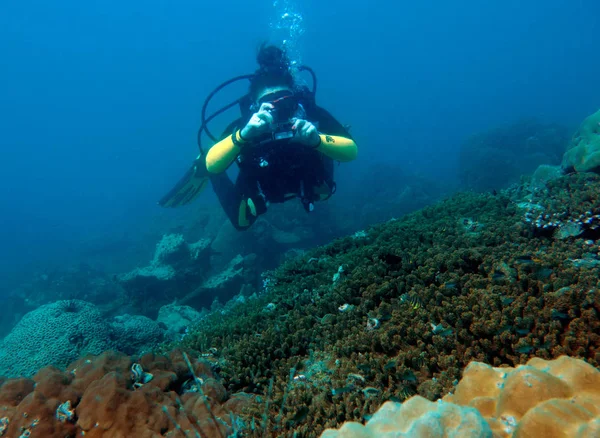 Tüplü dalgıç. Sualtı fotoğrafçısı. Tayland Körfezi, Pattaya. 