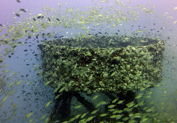 Immersioni Relitti Htms Chang Golfo Della Thailandia Koh Chang — Foto Stock