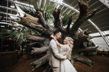 Şık gelin ve damat düğün günlerinde birbirlerine nazikçe bakıyorlar ve sarılıyorlar.