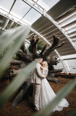 Şık gelin ve damat düğün günlerinde birbirlerine nazikçe bakıyorlar ve sarılıyorlar.