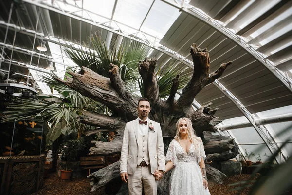 Noiva Elegante Noivo Amor Seu Dia Casamento Suavemente Olhando Para — Fotografia de Stock