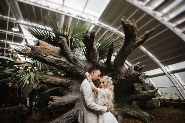 Noiva Elegante Noivo Amor Seu Dia Casamento Suavemente Olhando Para — Fotografia de Stock