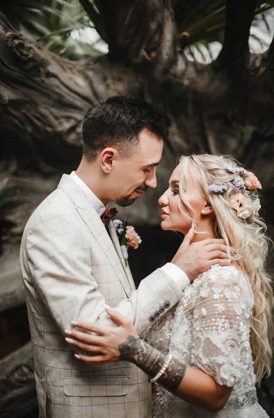 Şık gelin ve damat düğün günlerinde birbirlerine nazikçe bakıyorlar ve sarılıyorlar.