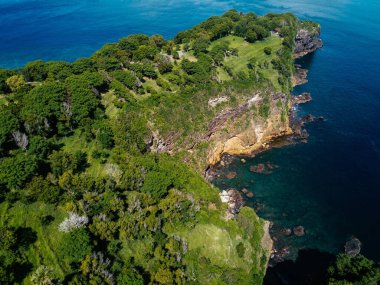 Endonezya 'daki Bali Adası cennet plajı, okyanus ve orman, insansız hava aracı fotoğrafı