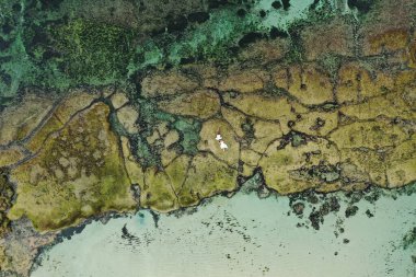 Birbirine aşık çiftler - gelin ve damat düğün günlerinde okyanus kıyısında, Endonezya 'nın egzotik Asya adası Bali' de kucaklaşıp öpüşürler. 
