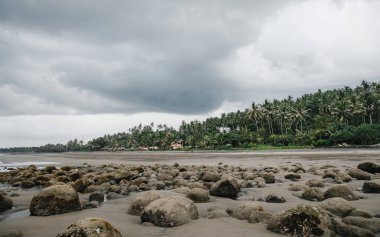 Bali Endonezya 'da kumlu okyanus, palmiye ağaçları ve taşlar