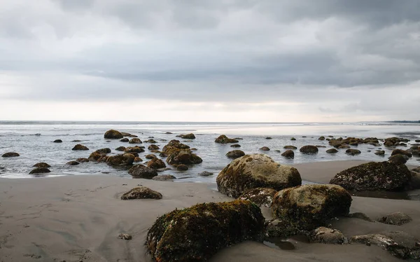Bali Endonezya 'da kumlu okyanus, palmiye ağaçları ve taşlar