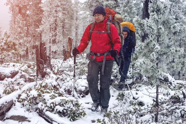 Kış manzarası. Üstünde belgili tanımlık tepe turist kırmızı ceketli gider