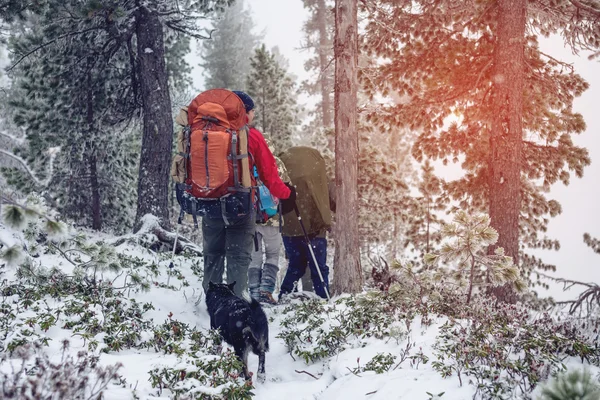 Winter landscape. Tourist in red jacket goes on the hill — Stock Photo, Image