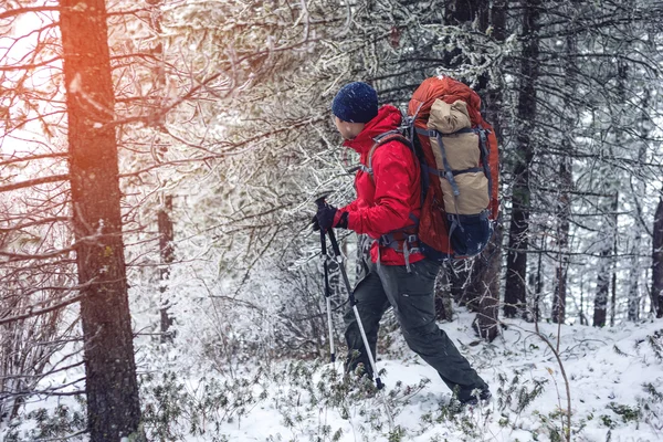 Winter landscape. Tourist in red jacket goes on the hill — Stock Photo, Image