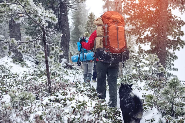 Paisaje invernal. Turista en chaqueta roja va en la colina — Foto de Stock