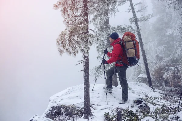 Paesaggio invernale. Turista in giacca rossa va sulla collina — Foto Stock