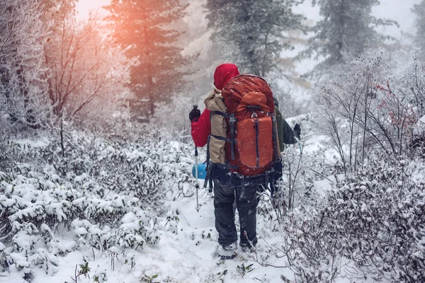 Paisaje invernal. Turista en chaqueta roja va en la colina — Foto de Stock