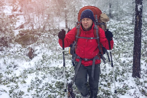 Kış manzarası. Üstünde belgili tanımlık tepe turist kırmızı ceketli gider — Stok fotoğraf
