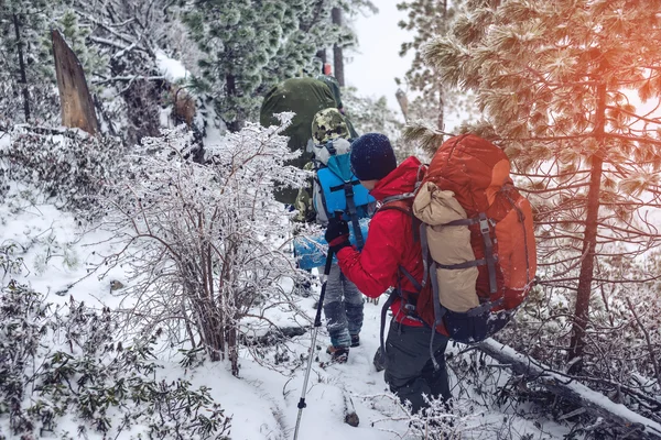 Vinterlandskap. Turist i röd jacka går på kullen — Stockfoto