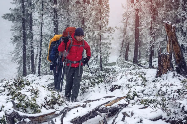 Vinterlandskap. Turist i röd jacka går på kullen — Stockfoto