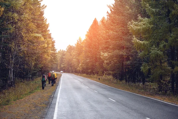 Groep vrienden wandelen met rugzakken in zonsondergang vanaf achterkant. — Stockfoto