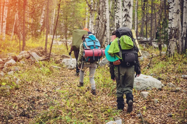 Grupo de amigos com mochilas subindo na floresta — Fotografia de Stock