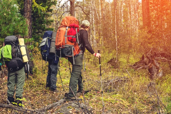 Group of friends with backpacks going up in the forest — Stock Photo, Image