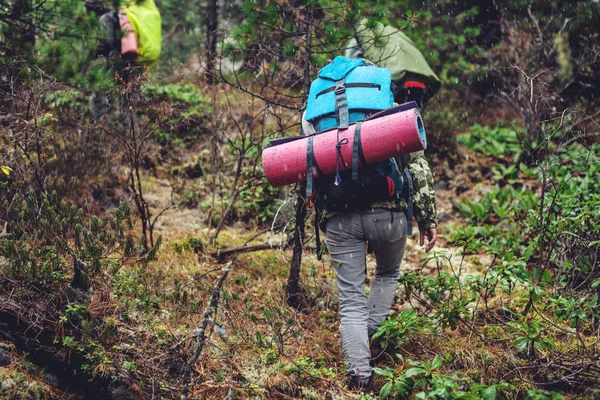 Ragazza con uno zaino salendo nella foresta di montagna — Foto Stock