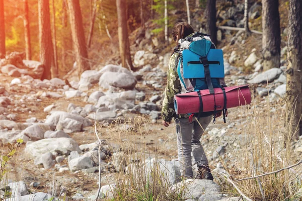 Menina com uma mochila indo para cima na floresta de montanha — Fotografia de Stock