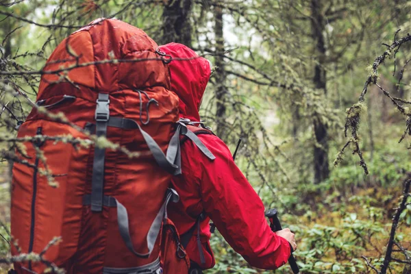 Homem com uma mochila subindo na floresta de montanha — Fotografia de Stock