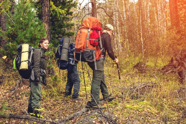 Gruppo di amici con zaini che salgono nella foresta — Foto Stock