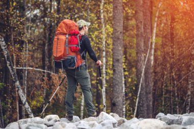 Adam dağ ormanda gidiş sona bir sırt çantası ile