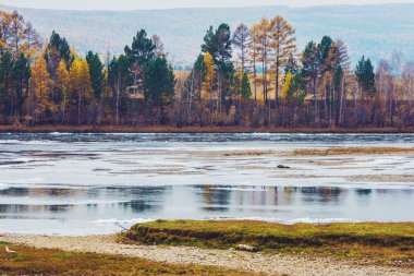 sis Nehri ve sarı ağaç görünümü