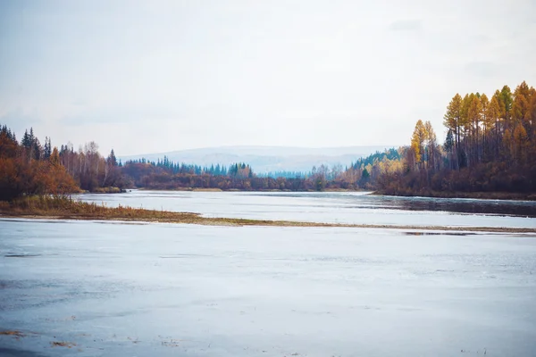 Vue sur la rivière et les arbres jaunes dans le brouillard — Photo