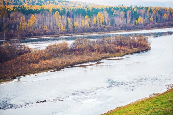 Vue sur la rivière et les arbres jaunes dans le brouillard — Photo