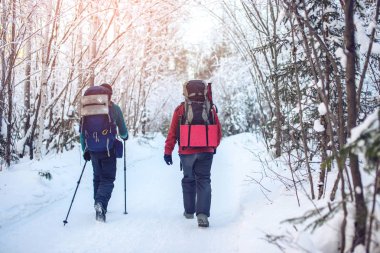 ağaçların arasında bir karlı yolda yürüyen turist yürüyüşçü