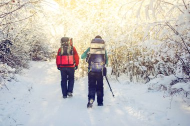 ağaçların arasında bir karlı yolda yürüyen turist yürüyüşçü