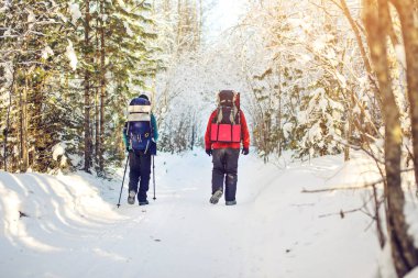 ağaçların arasında bir karlı yolda yürüyen turist yürüyüşçü